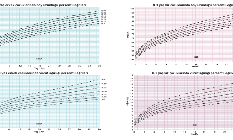 Persentil (Büyüme Eğrisi) Nedir, Nasıl Yorumlanır?