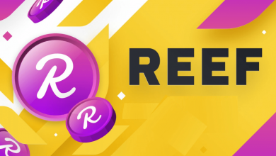 REEF Coin Nedir, Kim Tarafından Ne Zaman Kuruldu