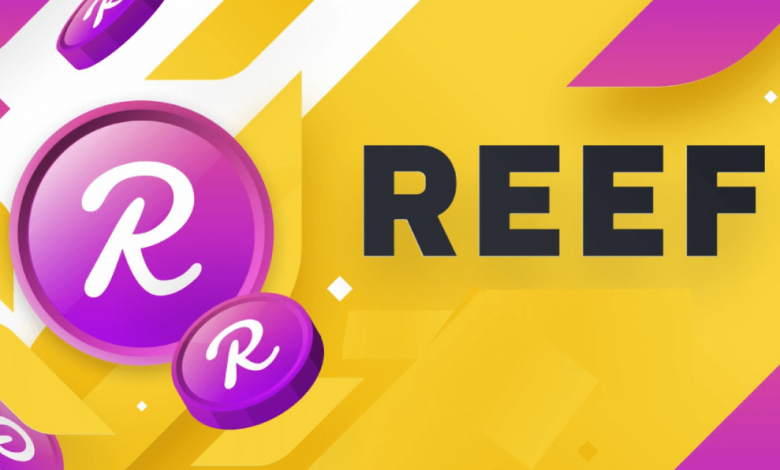 REEF Coin Nedir, Kim Tarafından Ne Zaman Kuruldu